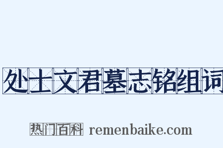 处士文君墓志铭组词是什么意思的图片